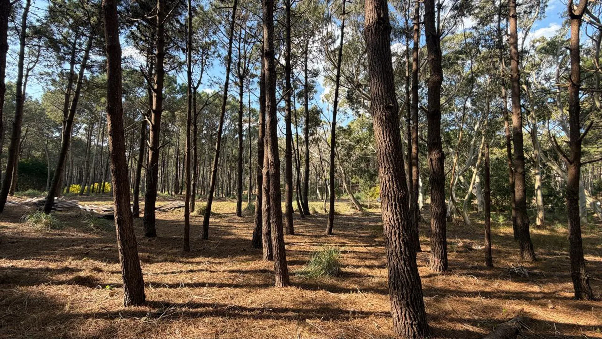 Venta lote Villa Robles con cercania al mar foto 3