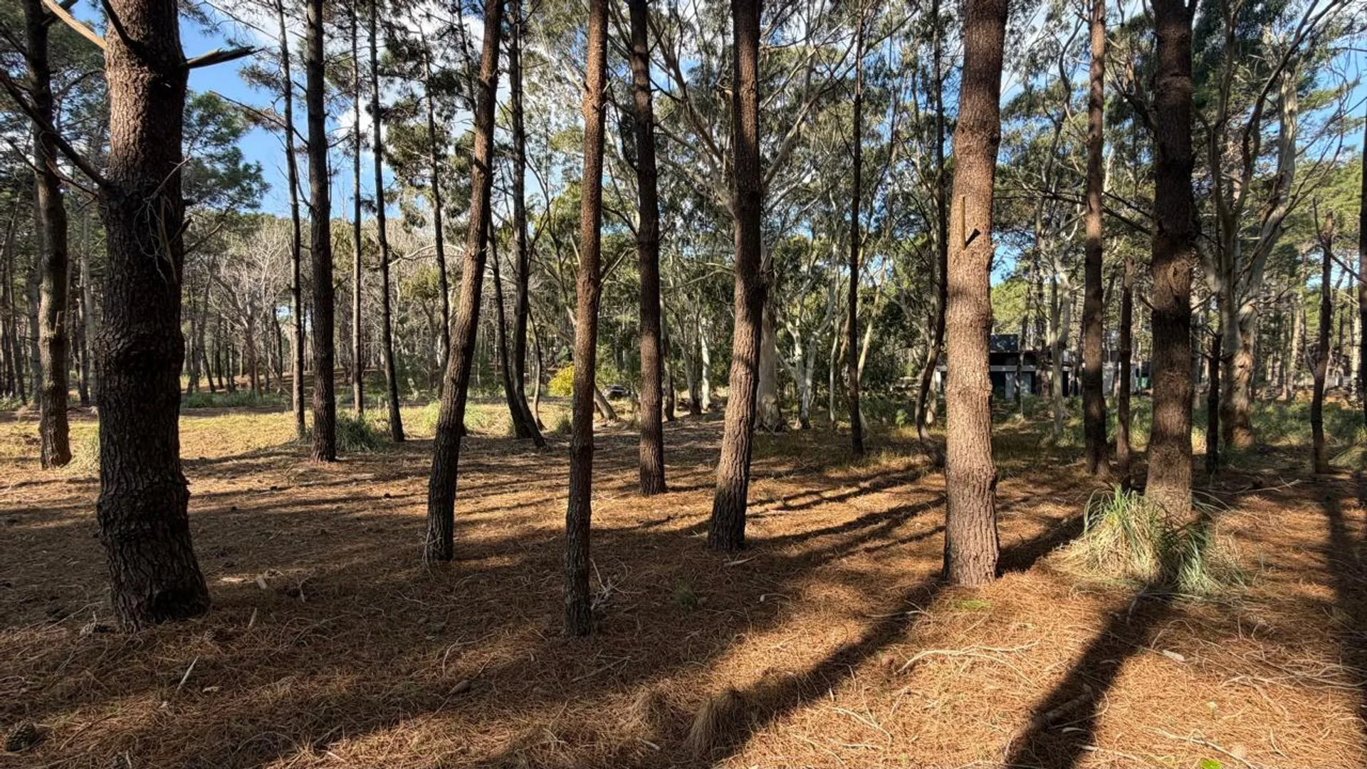 Venta lote Villa Robles con cercania al mar foto 4