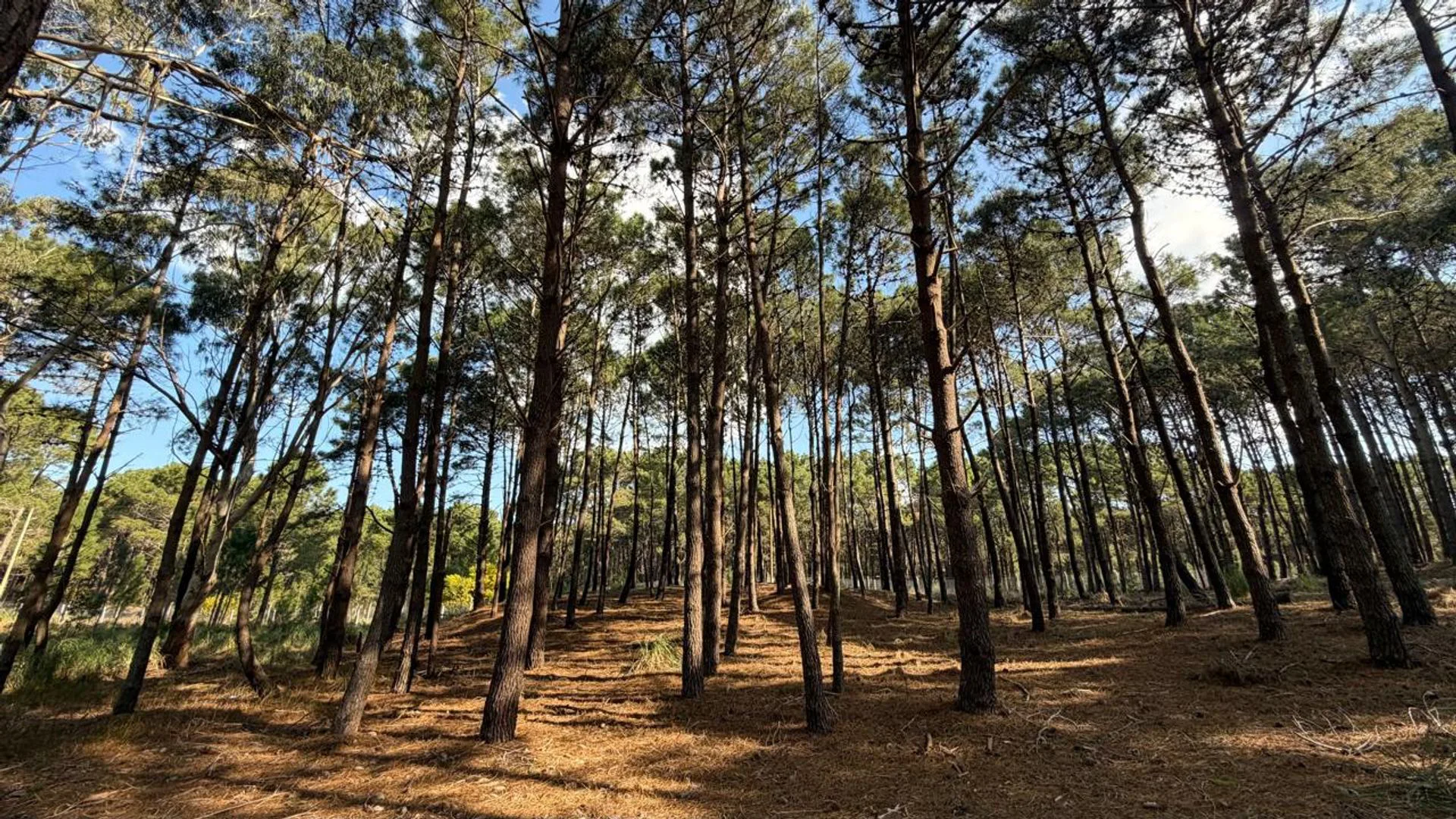 Venta lote Villa Robles con cercania al mar foto 5
