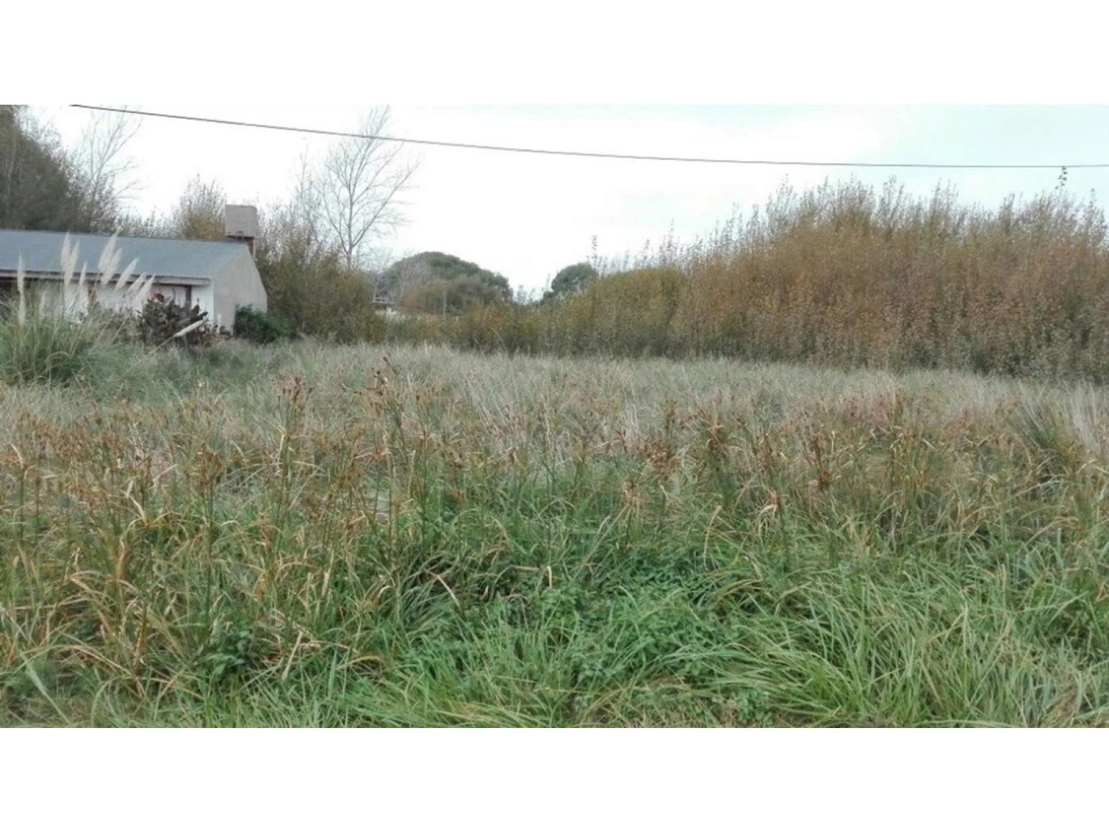 Terreno En Venta En Las Toninas, De La Costa foto 2
