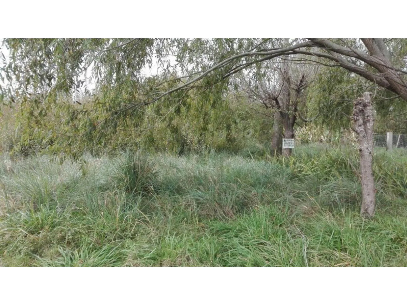 Terreno En Venta En Las Toninas, De La Costa foto 4