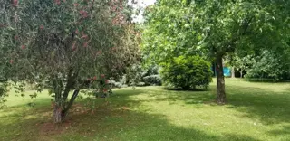 LOTE en VENTA - ZONA RESIDENCIAL LAS GLORIAS foto 5