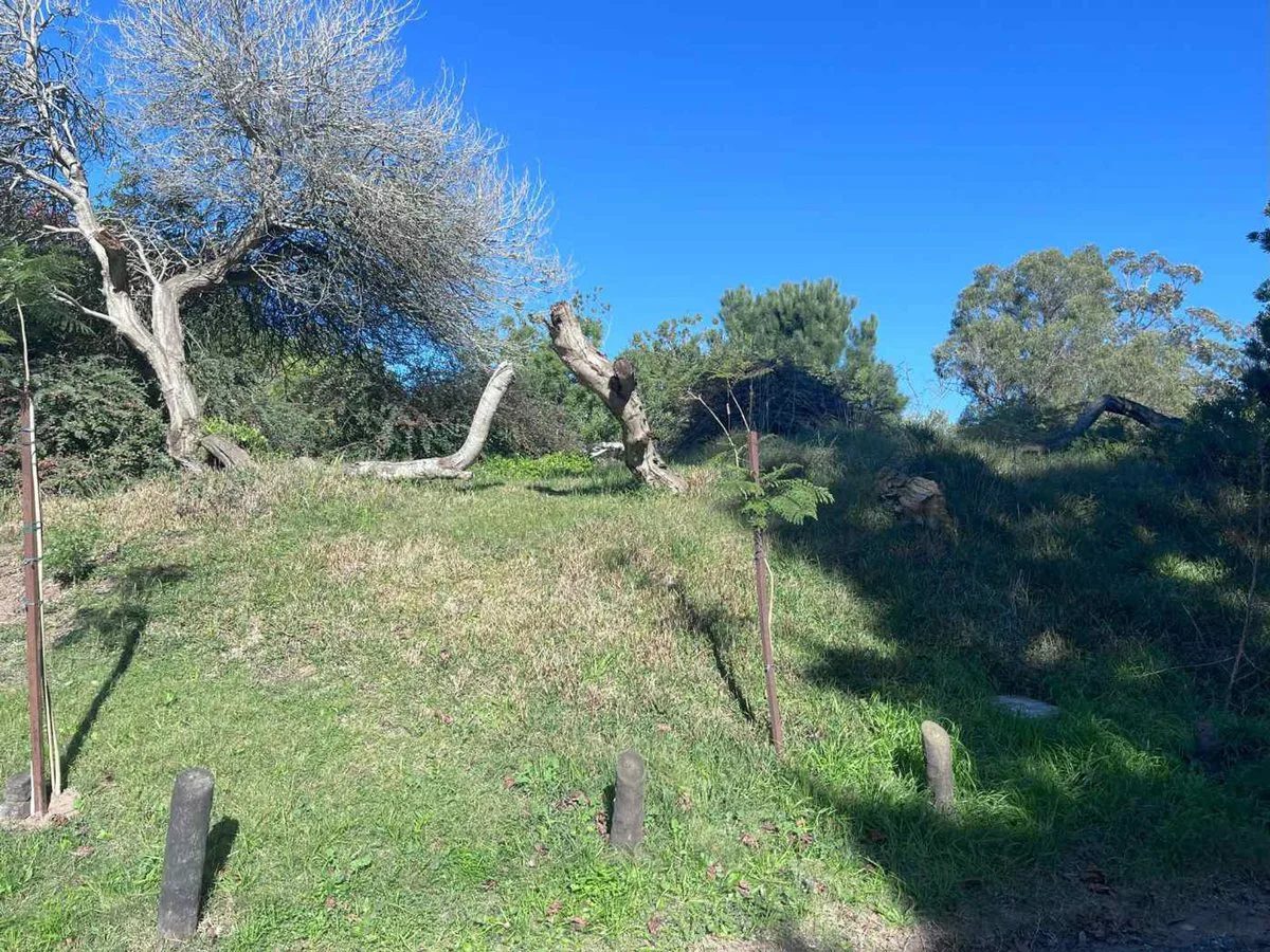 VENTA LOTE EN VALERIA DEL MAR  CON PROYECTO foto 3