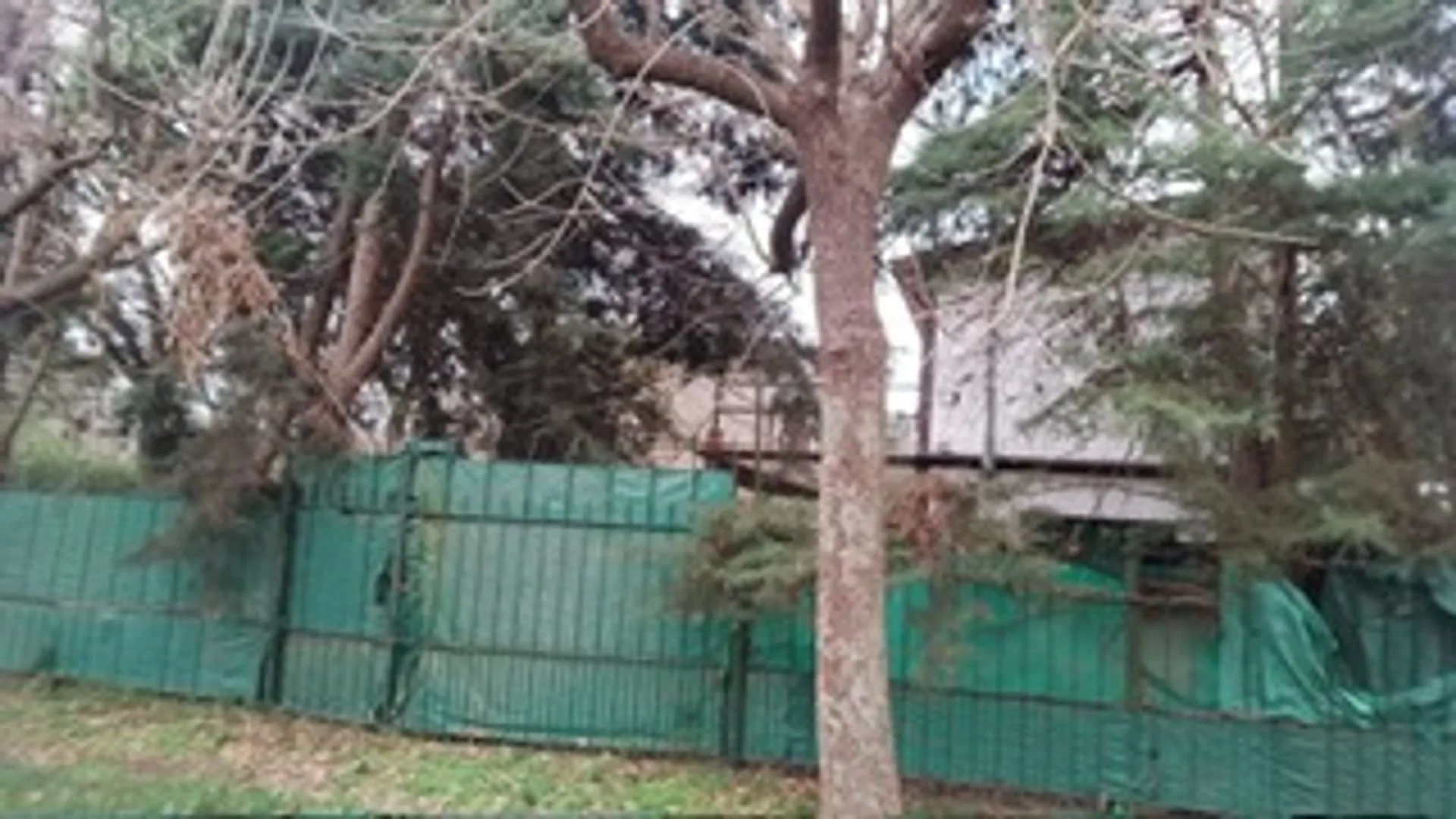 Lote 800m2 arbolado El Casco Gral Rodriguez foto 4