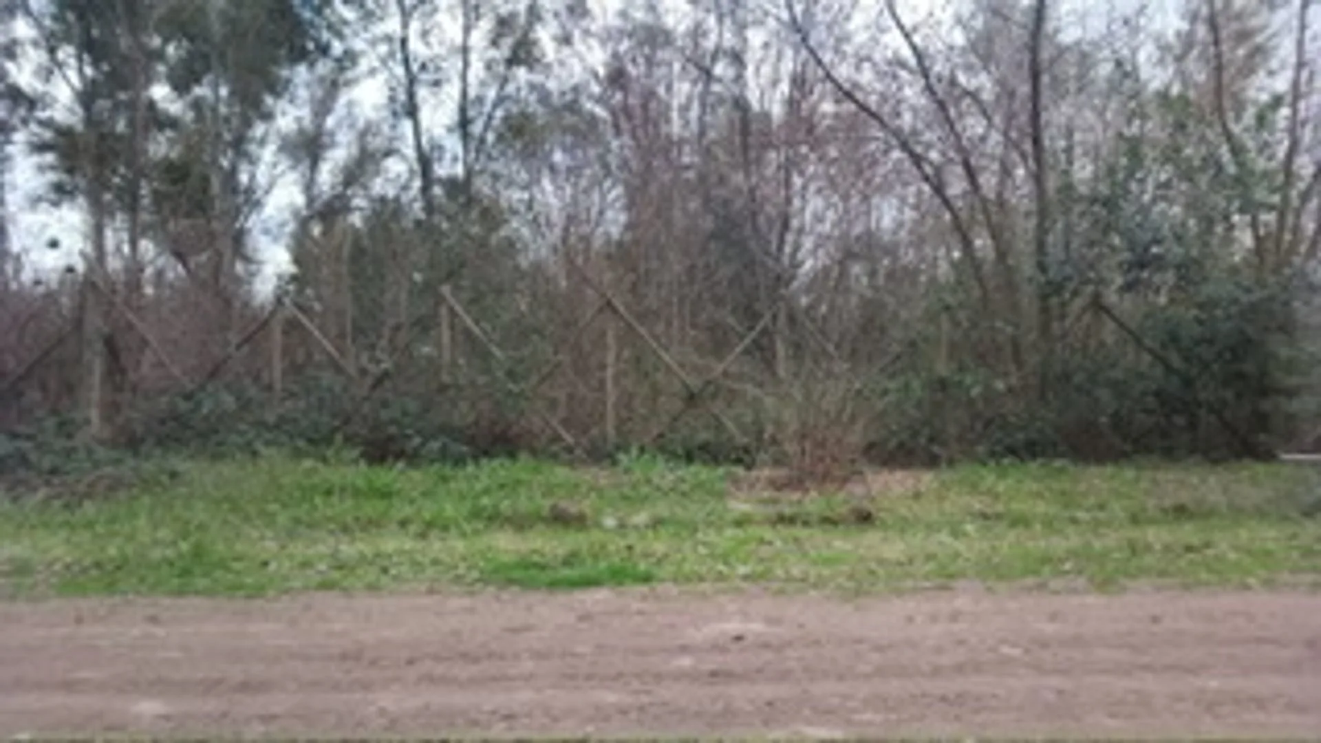Lote 800m2 arbolado El Casco Gral Rodriguez foto 5