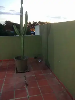 DEPARTAMENTO MONOAMBIENTE CON TERRAZA. foto 5