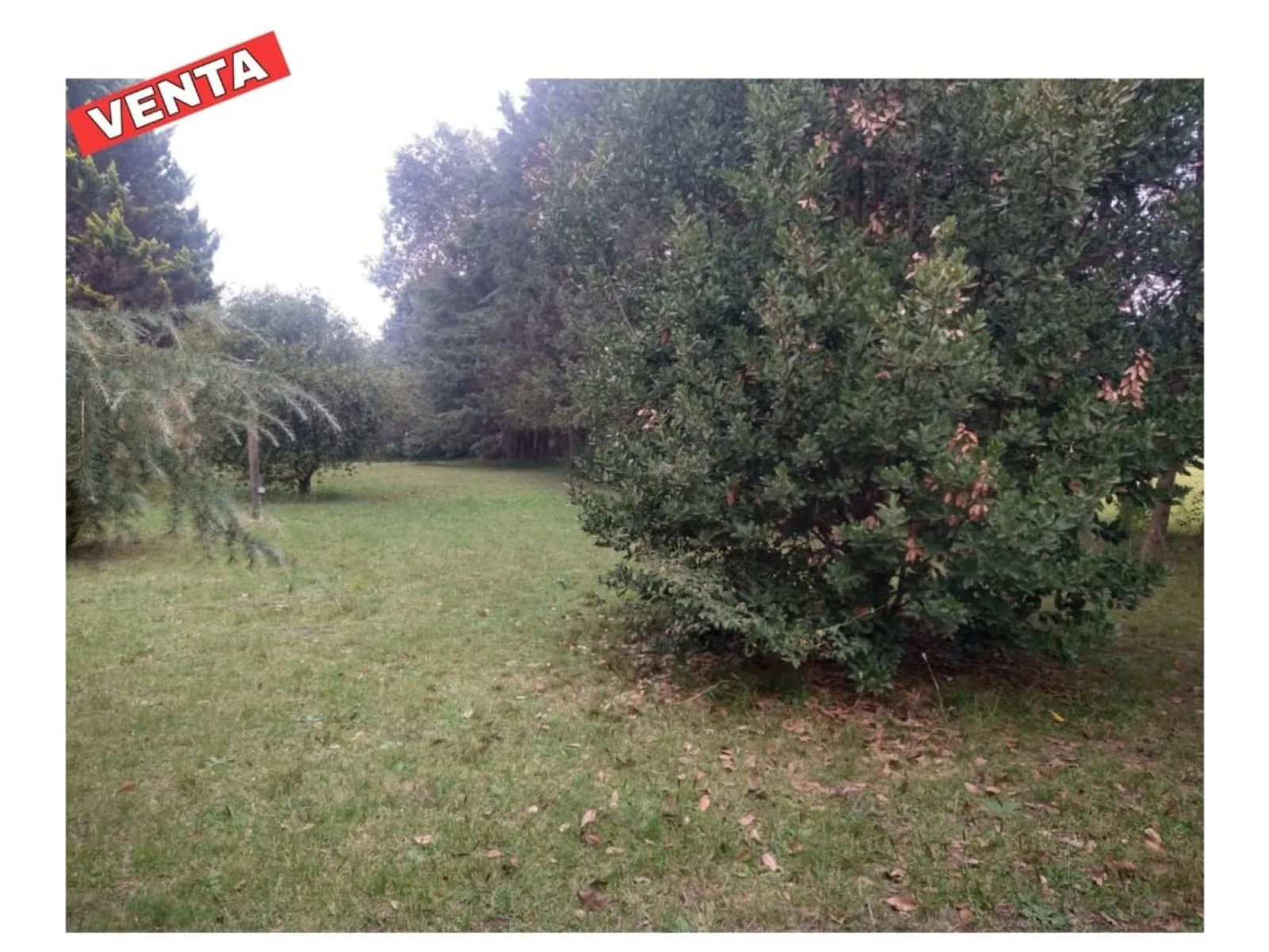 Venta Lote/Terreno V. Del Pino Barrio Parque Cruz Del Sur foto 3