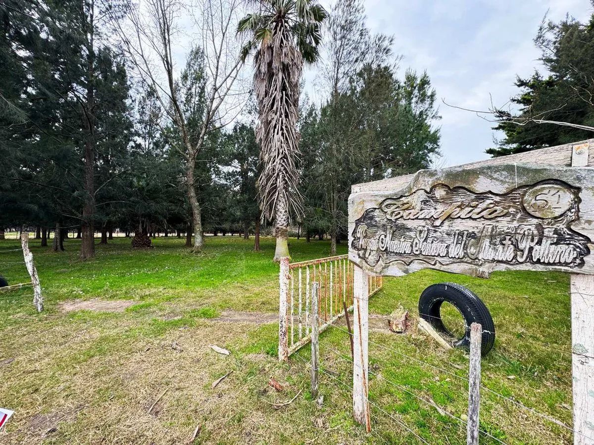 CAMPO EN VENTA LA PLATA ABASTO foto 4