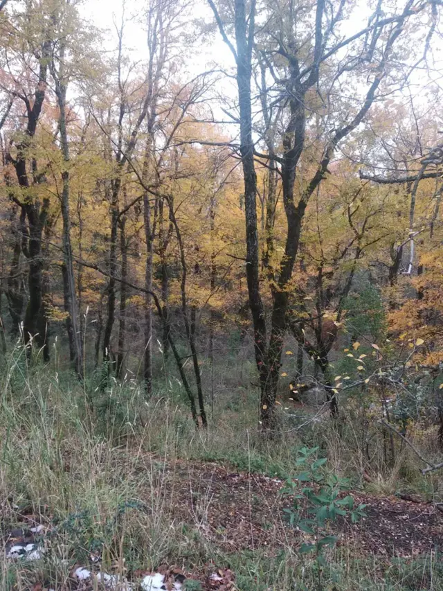 Únicos Terrenos de entre 600 y 700 m2 en Ph Barrio Los Riscos Listos Para Escriturar