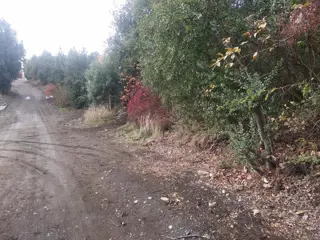 Únicos Terrenos de entre 600 y 700 m2 en Ph Barrio Los Riscos Listos Para Escriturar foto 2
