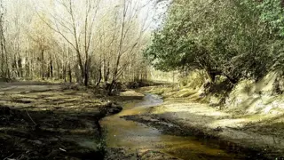 Nºref: 991 -Hermoso Loteo en Santa Maria de Punilla con increíbles beneficios foto 5