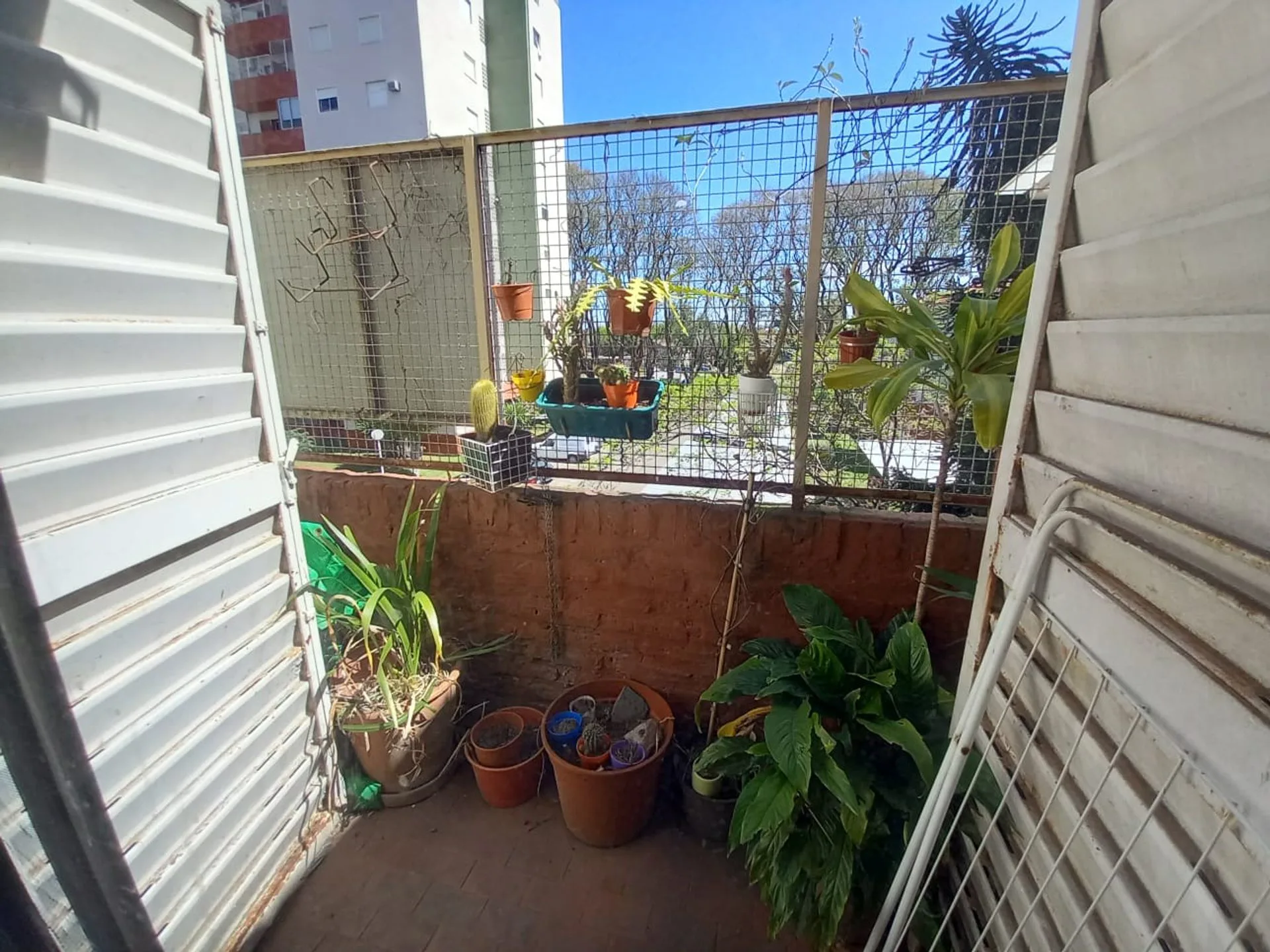VENTA DEPARTAMENTO 3 ambientes Martin Coronado foto 5