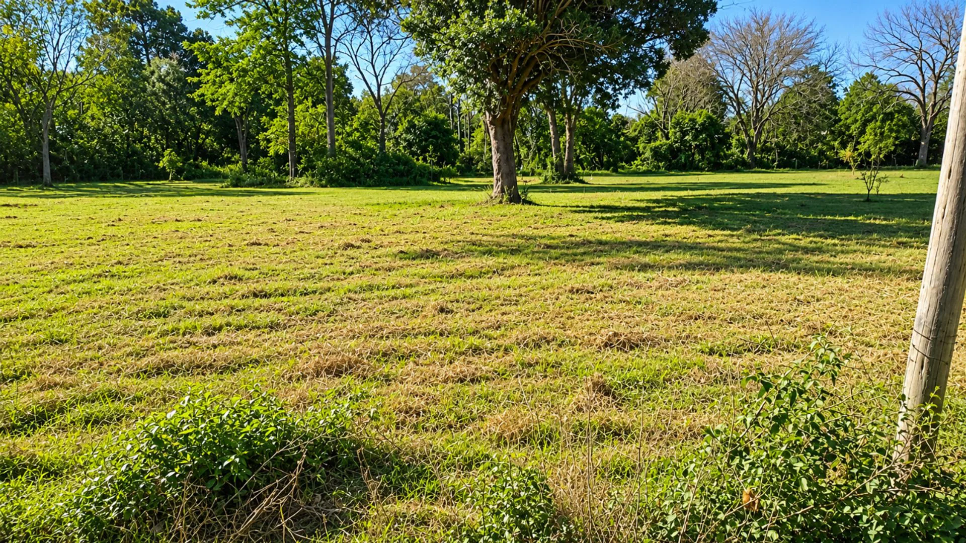 Venta Terreno en Esquina Sauce Viejo J. Newbery foto 2