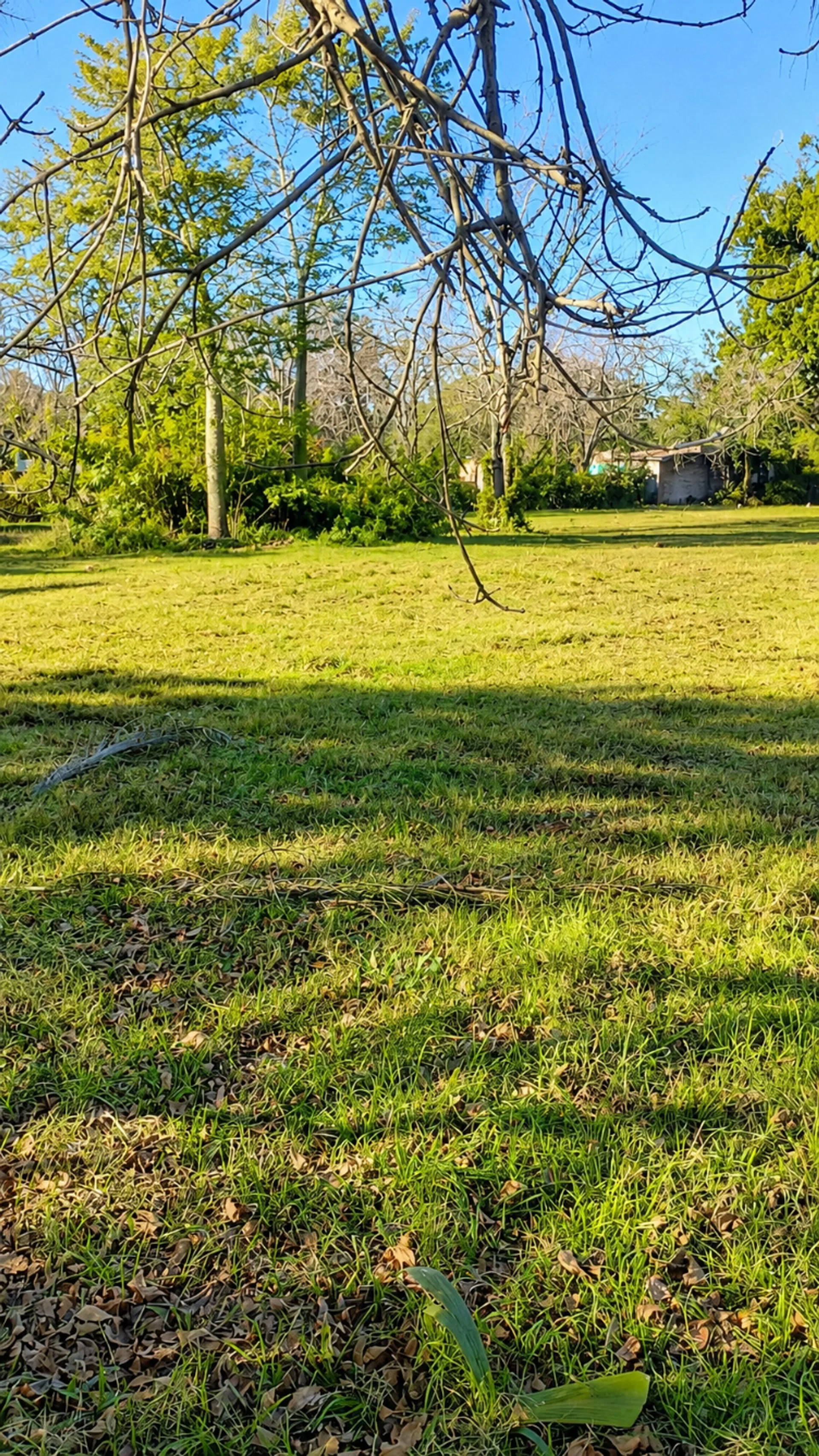 Venta Terreno en Esquina Sauce Viejo J. Newbery foto 3
