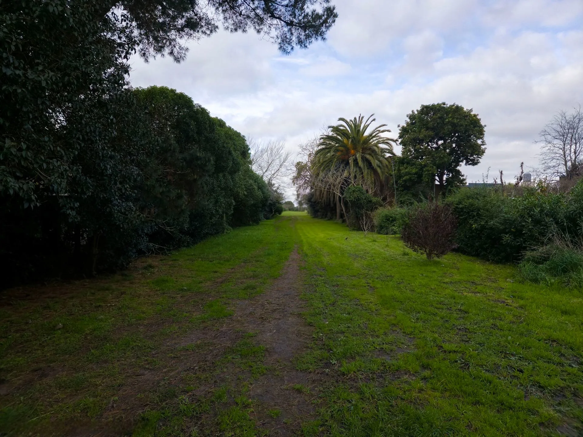 Oportunidad en Colinas Verdes | Lote de 540 m² foto 5