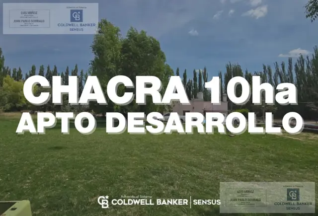 Chacra en Cipolletti