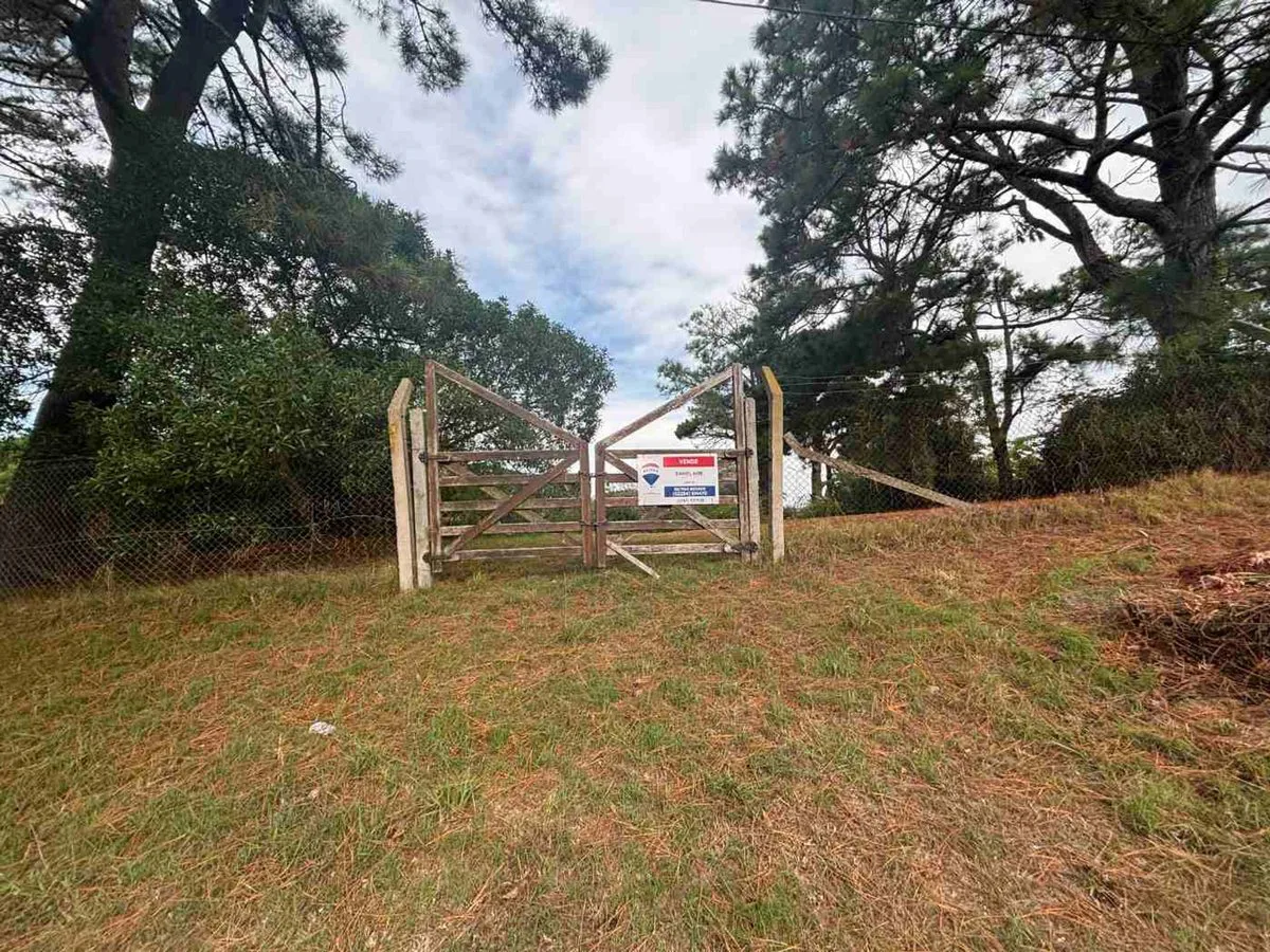 Venta Lote en Pinamar zona B5 foto 2