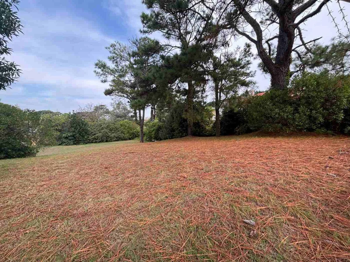 Venta Lote en Pinamar zona B5 foto 5