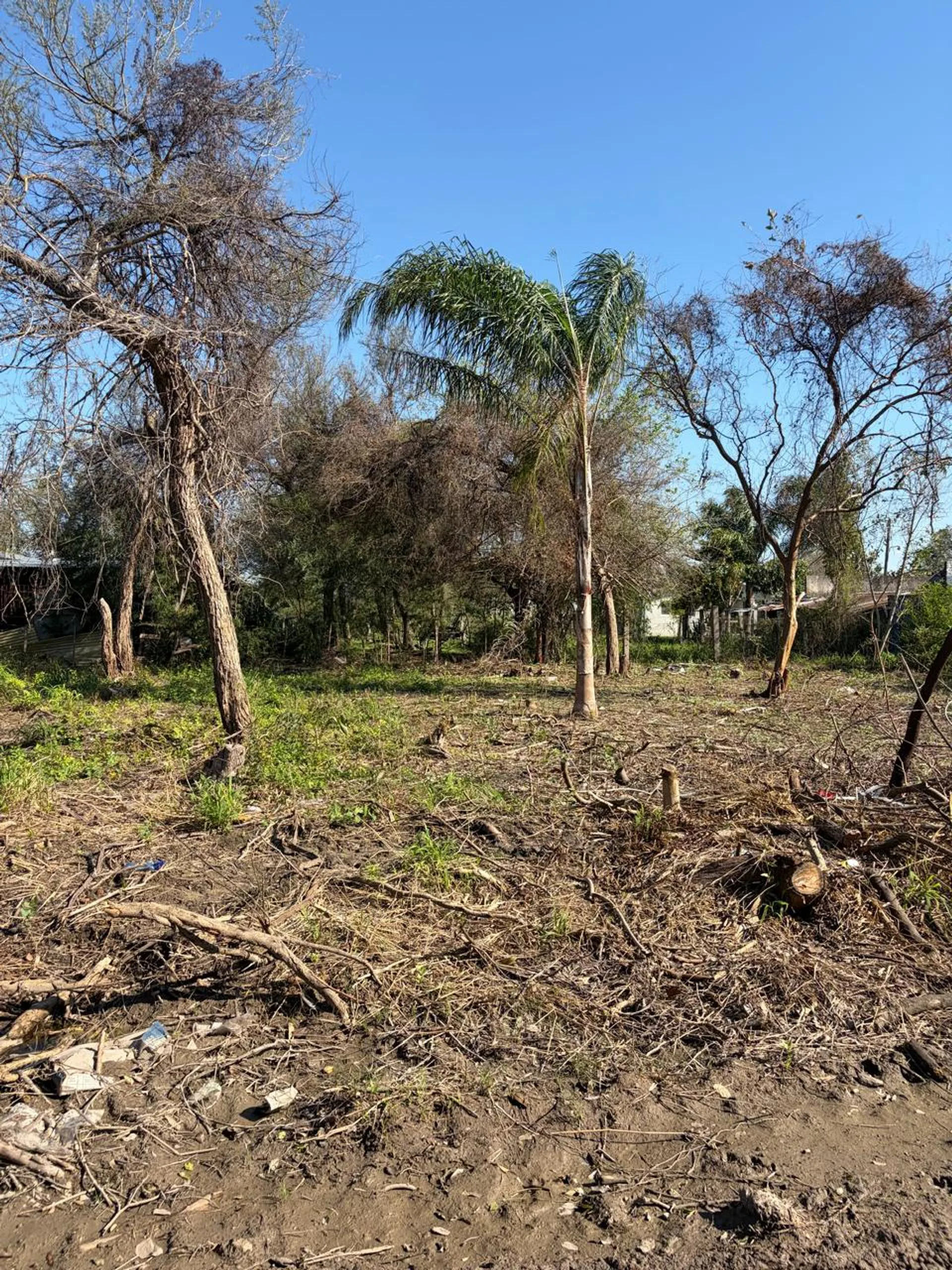 Lote en venta en  Puente de Santa Lucia Goya foto 2