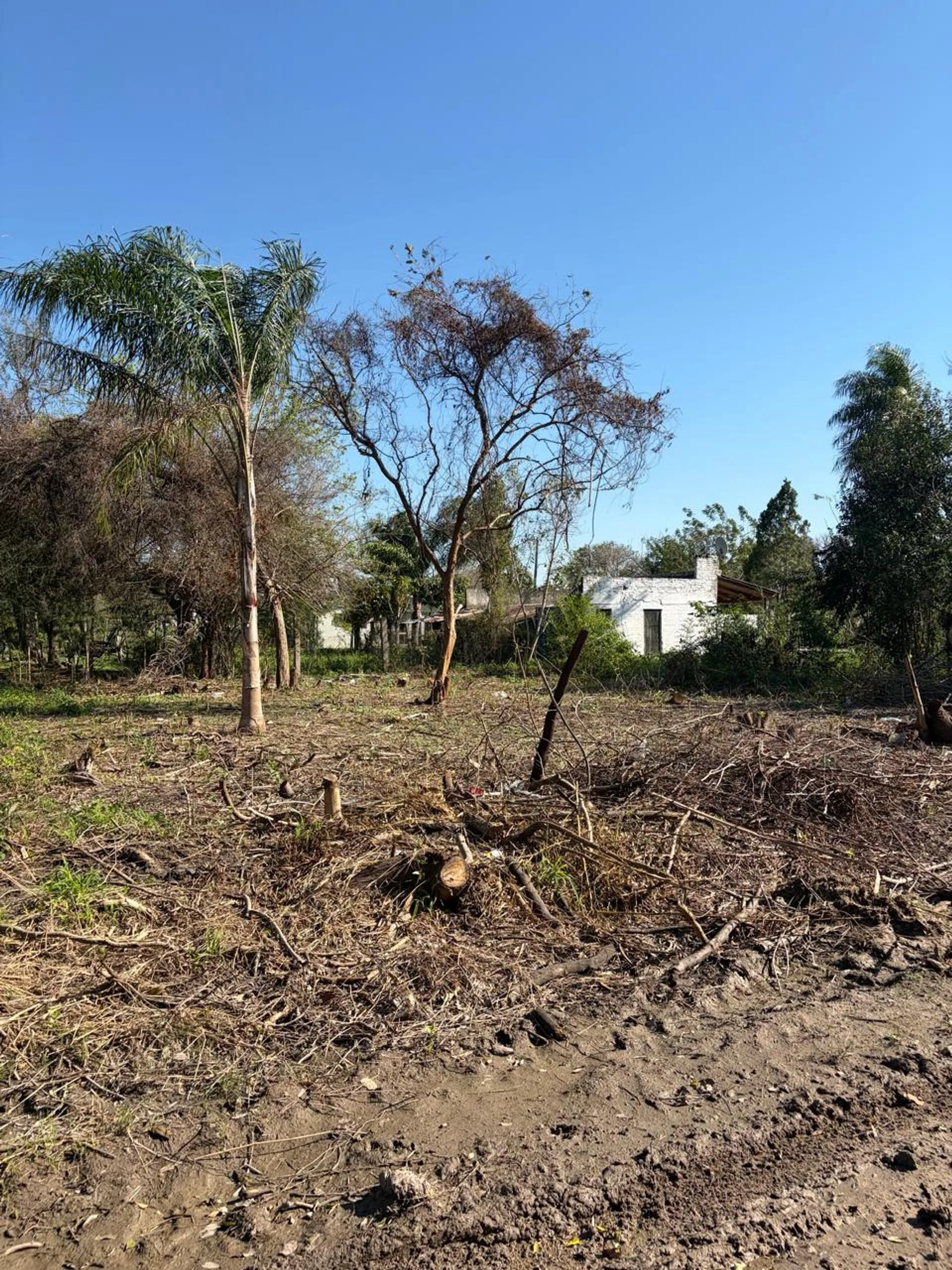 Lote en venta en  Puente de Santa Lucia Goya foto 3
