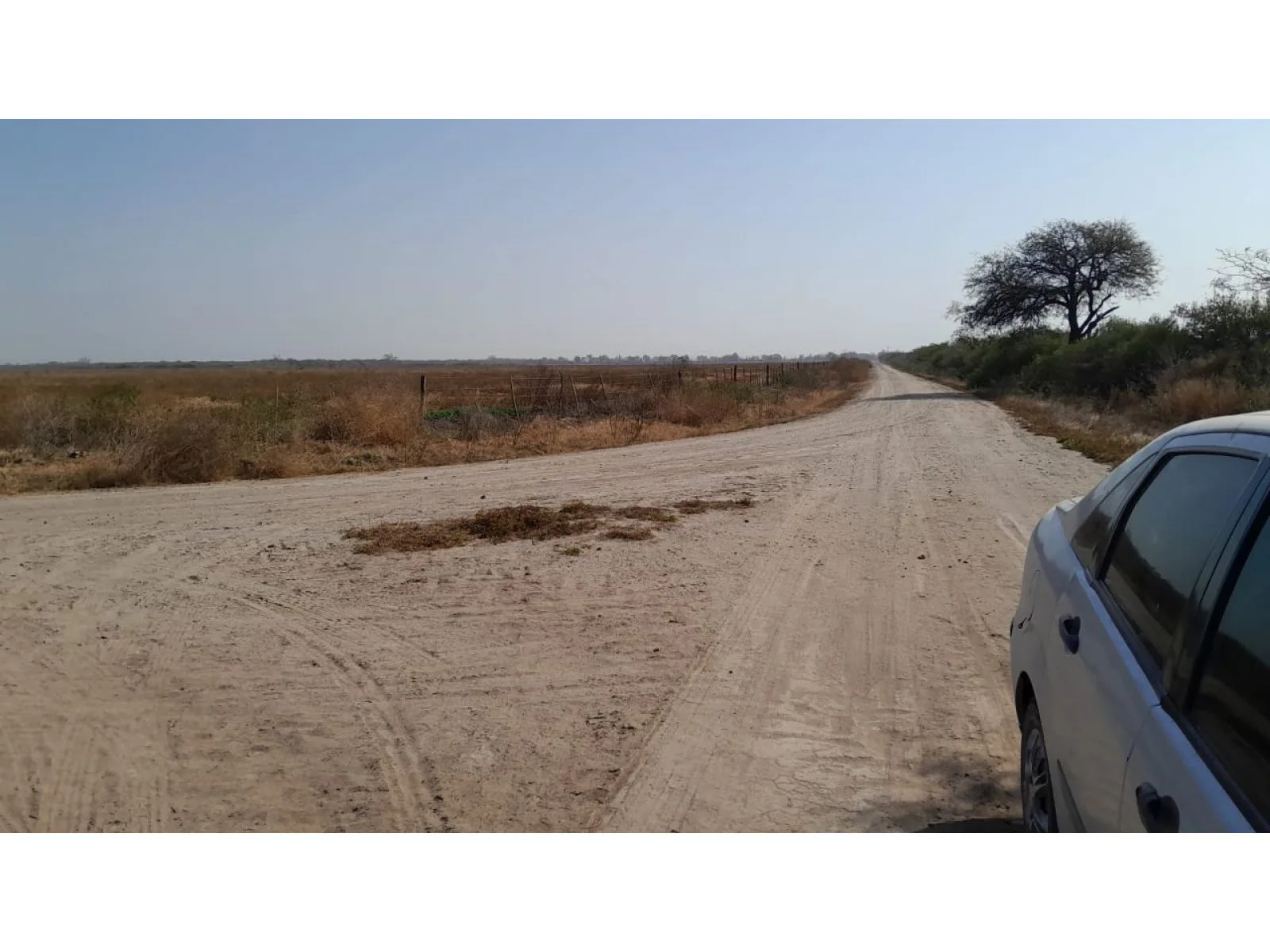Venta Campo agricola 495has, Sgo del Estero, Clodomira foto 2