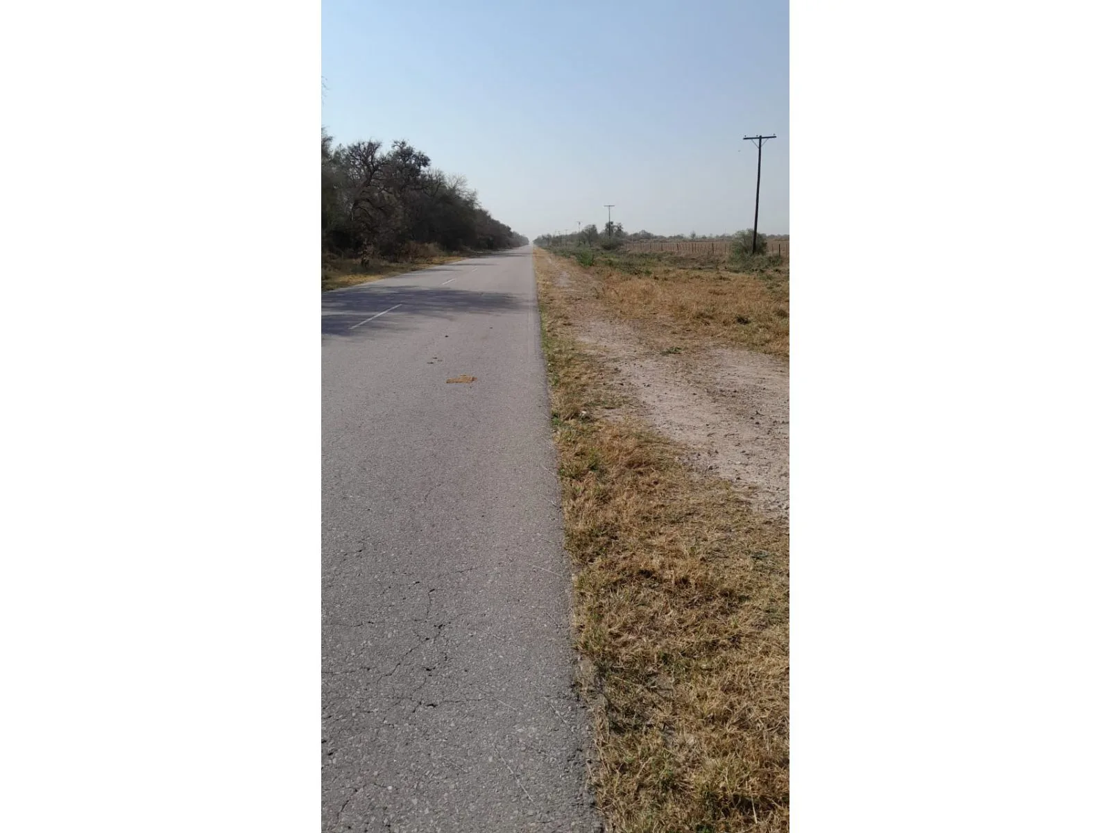 Venta Campo agricola 495has, Sgo del Estero, Clodomira foto 3
