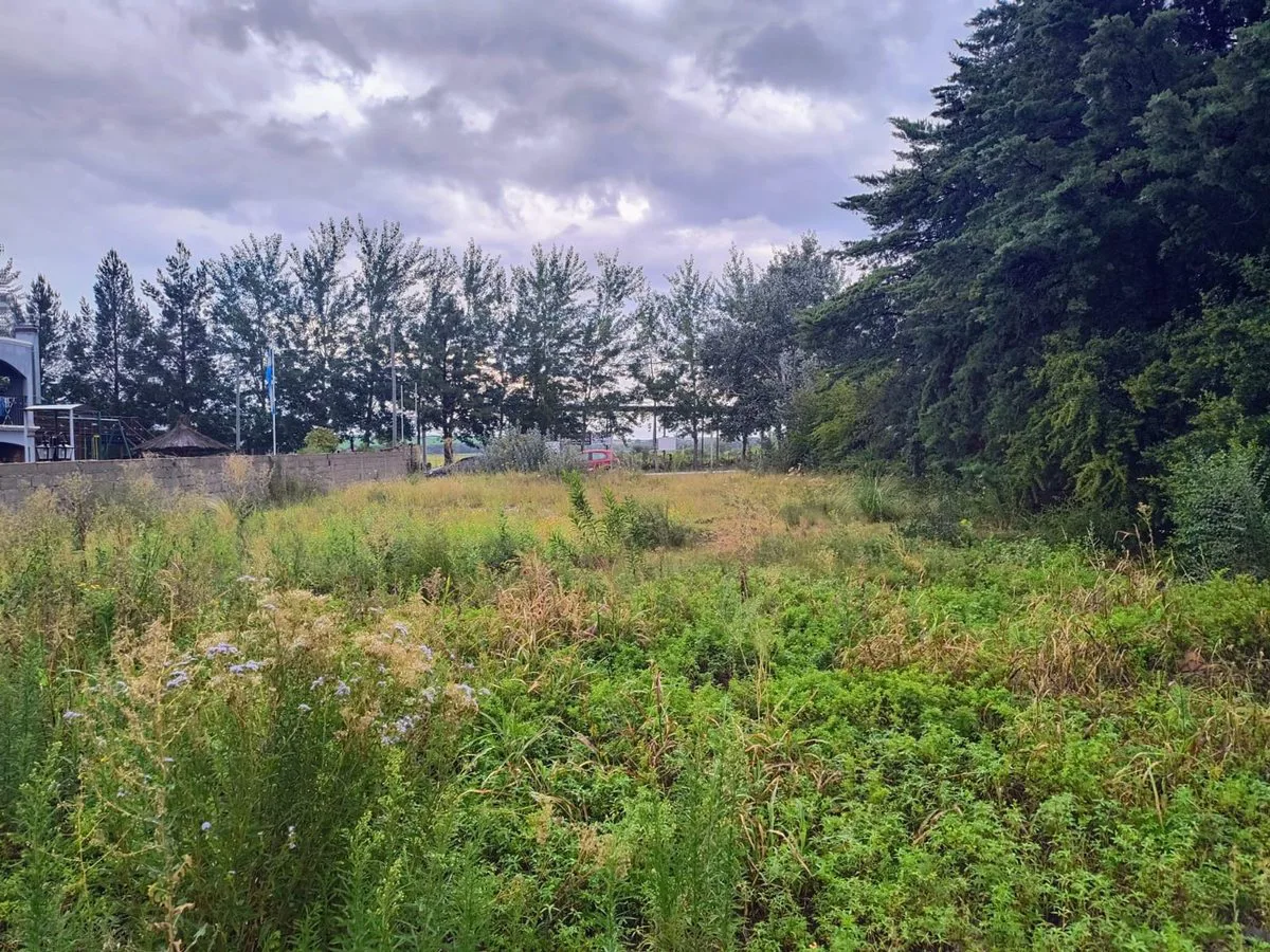 Venta – Lote 2.330 m² sobre Ruta 39 | San Luis