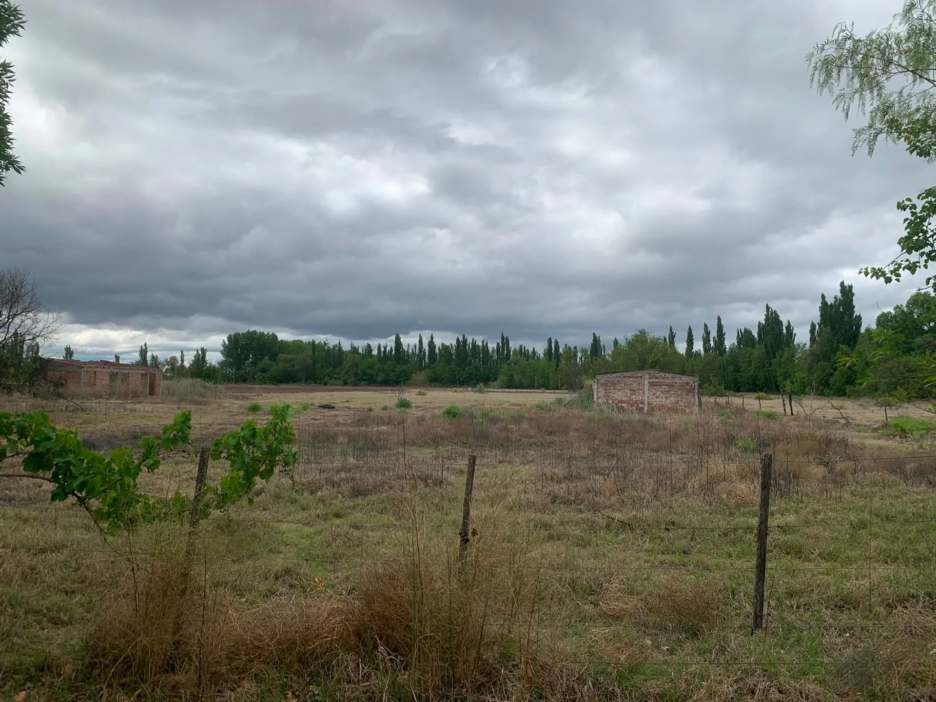 Se vende predio ideal para loteo en Gral Alvear foto 3