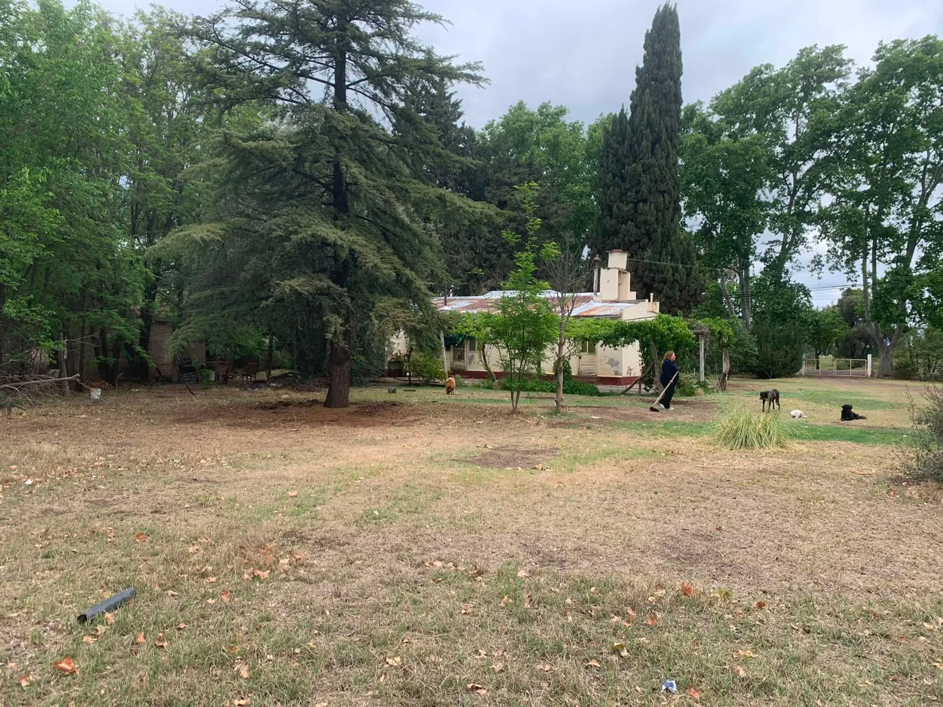 Se vende predio ideal para loteo en Gral Alvear foto 4