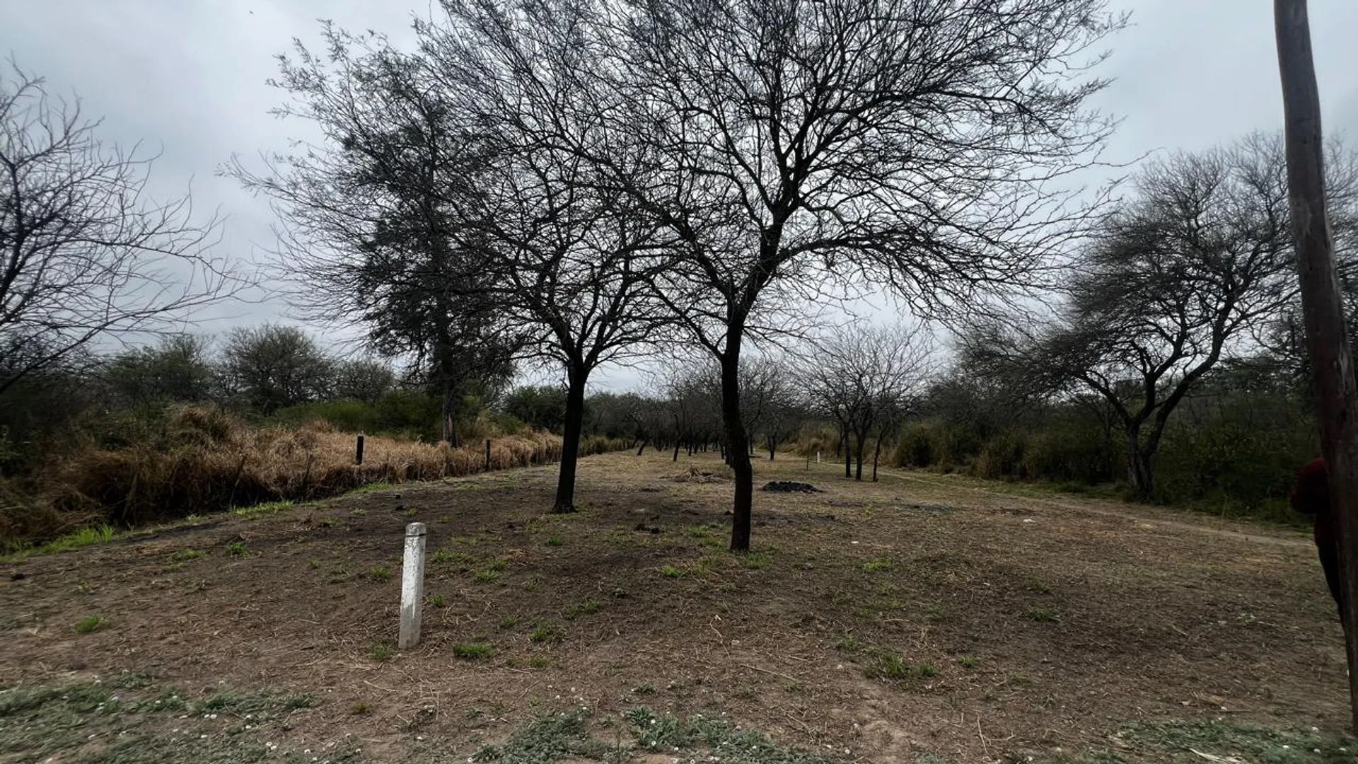 VENTA LOTE - EL POLEAR - LA BANDA