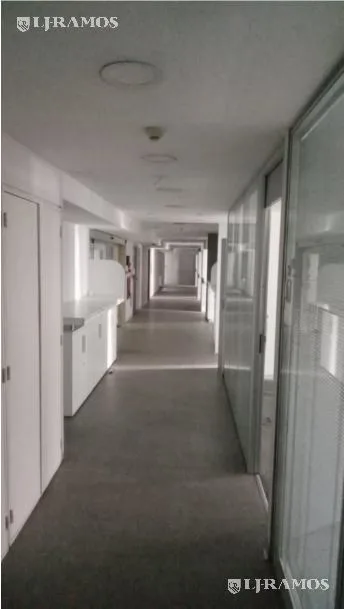 Oficina en alquiler en Retiro - LEANDRO N. ALEM 1050 - Piso 11 foto 5
