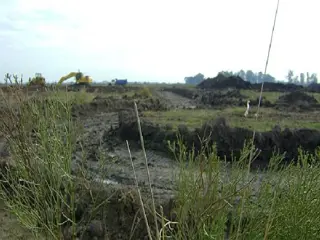 CAMPOS DE VICTORIA CANNING! ULTIMOS LOTES. foto 4