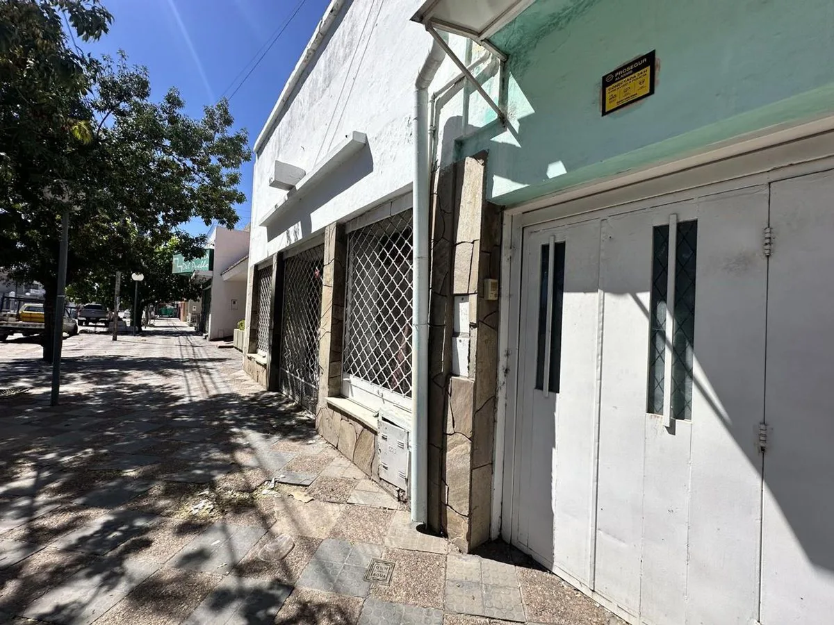 VENTA DE CASA, LOCAL Y DPTO EN AV. ALEM PALMIRA foto 2