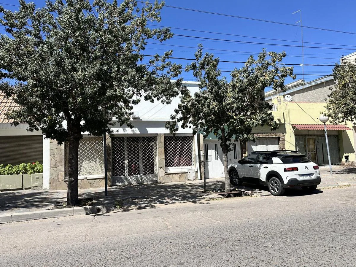 VENTA DE CASA, LOCAL Y DPTO EN AV. ALEM PALMIRA foto 3