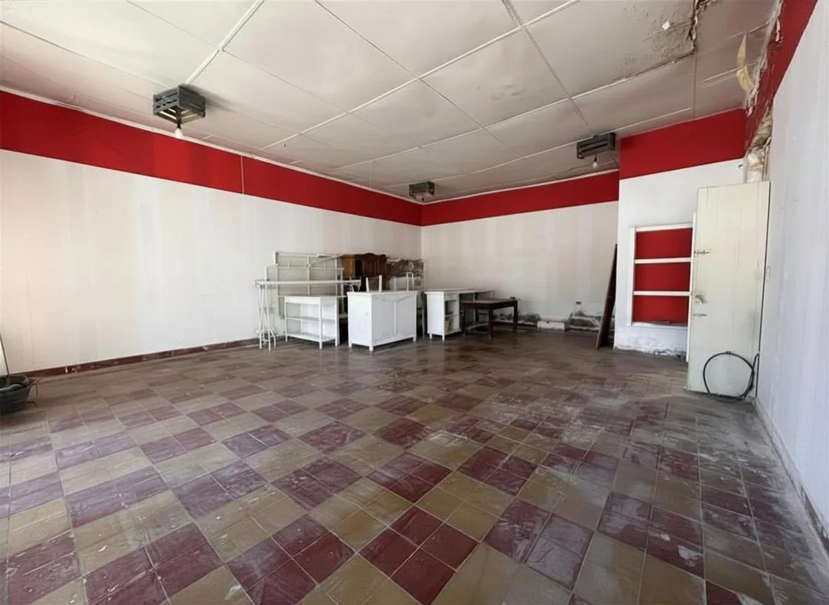 VENTA DE CASA, LOCAL Y DPTO EN AV. ALEM PALMIRA foto 4