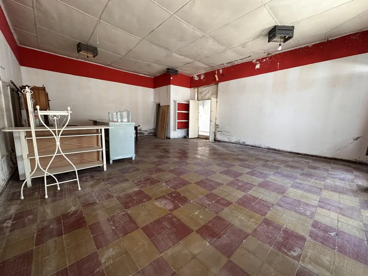 VENTA DE CASA, LOCAL Y DPTO EN AV. ALEM PALMIRA foto 5