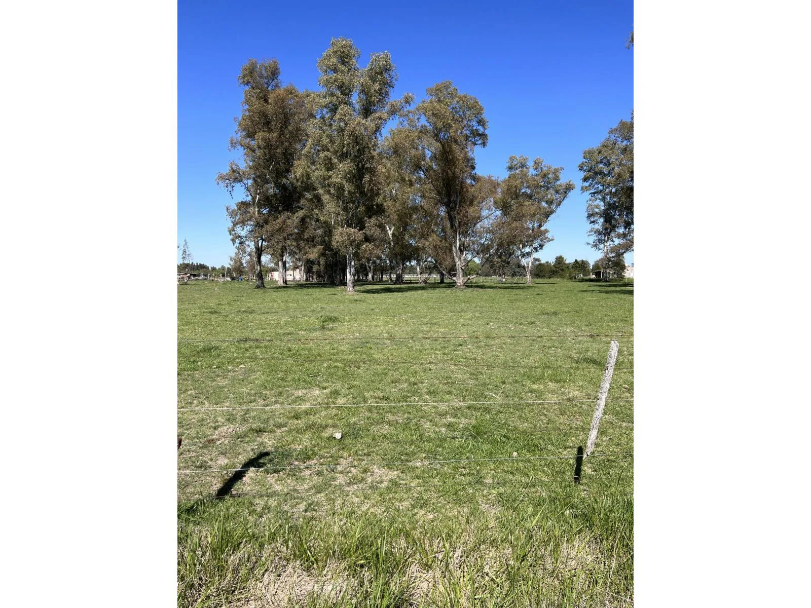 Lote ubicado a 700 metros Ruta 41 - San Miguel del Monte foto 2