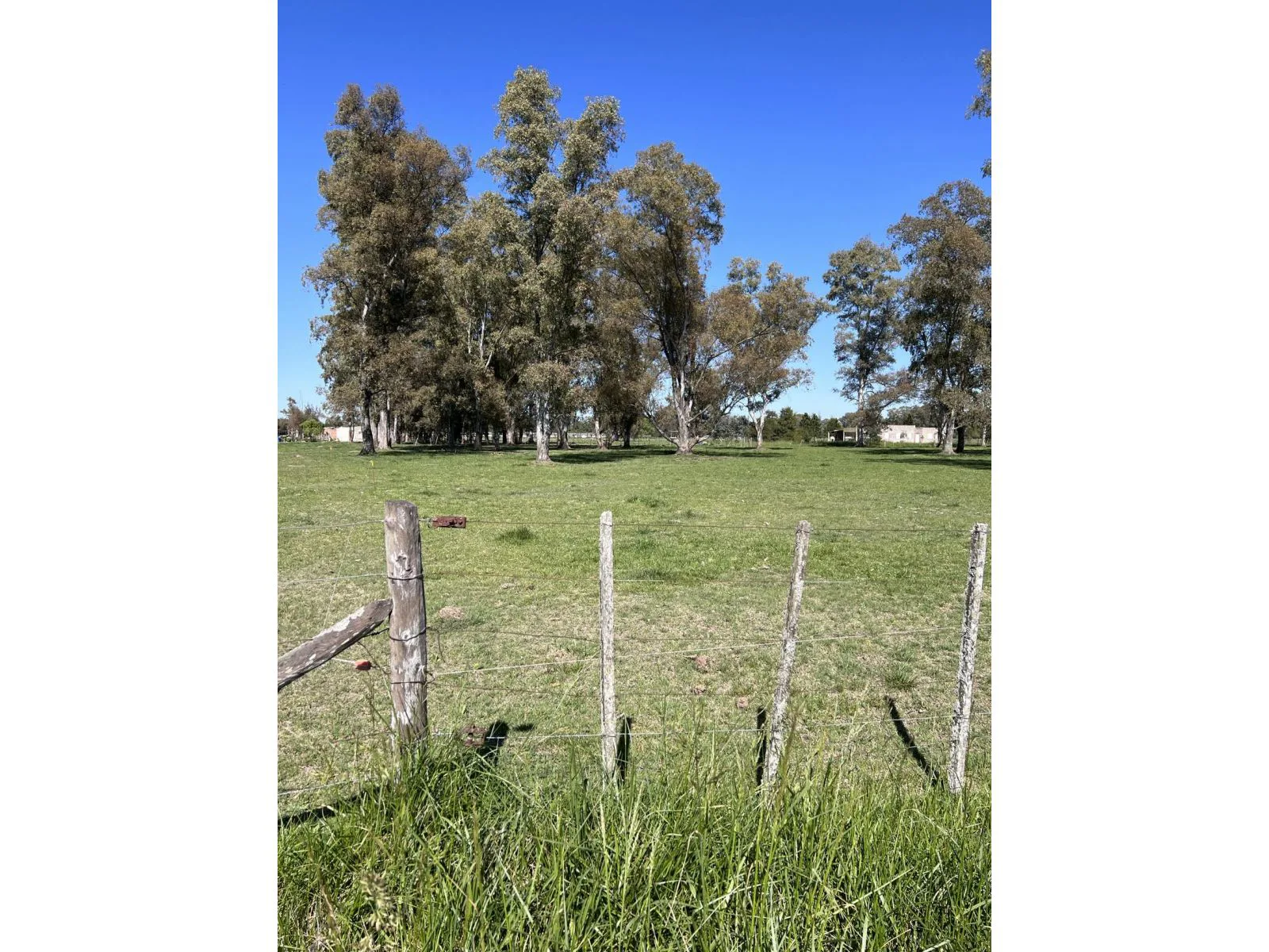 Lote ubicado a 700 metros Ruta 41 - San Miguel del Monte foto 3