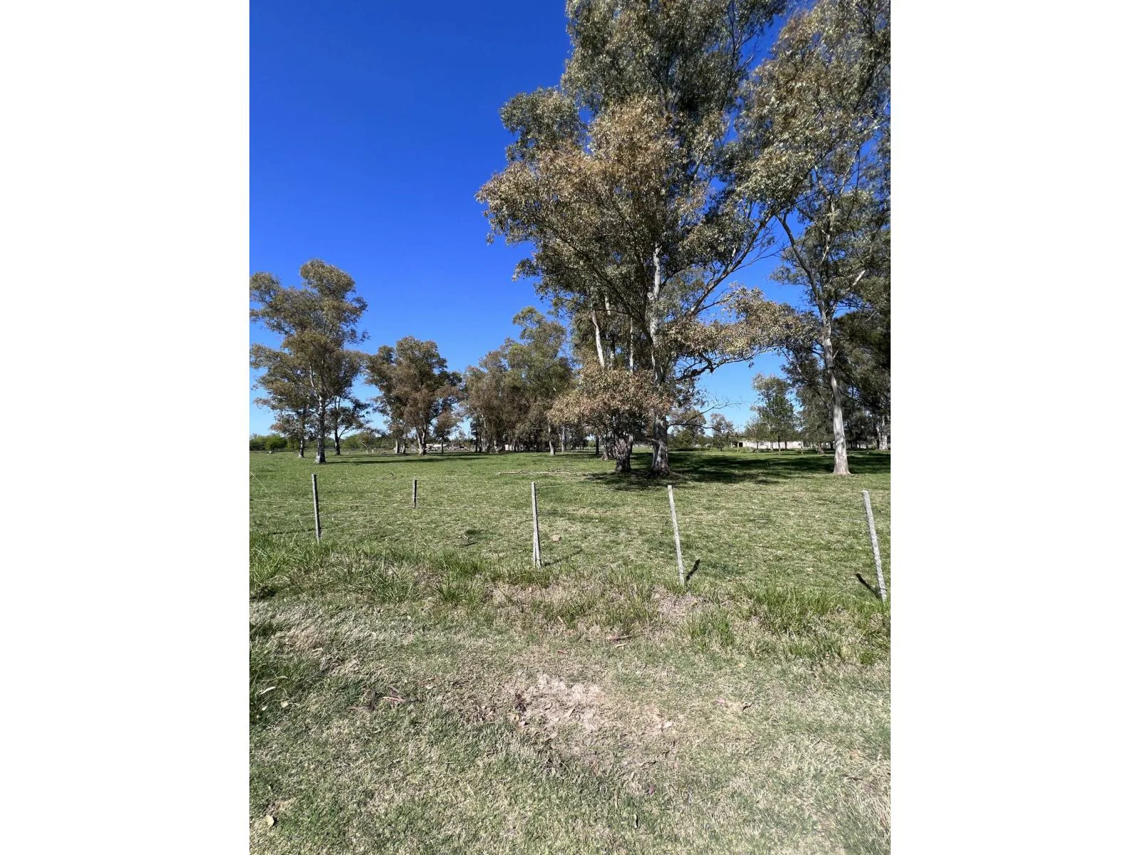 Lote ubicado a 700 metros Ruta 41 - San Miguel del Monte foto 4