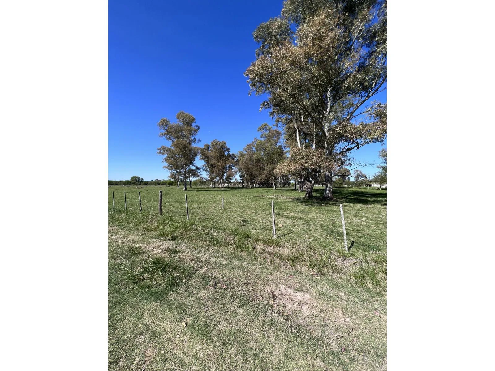 Lote ubicado a 700 metros Ruta 41 - San Miguel del Monte foto 5