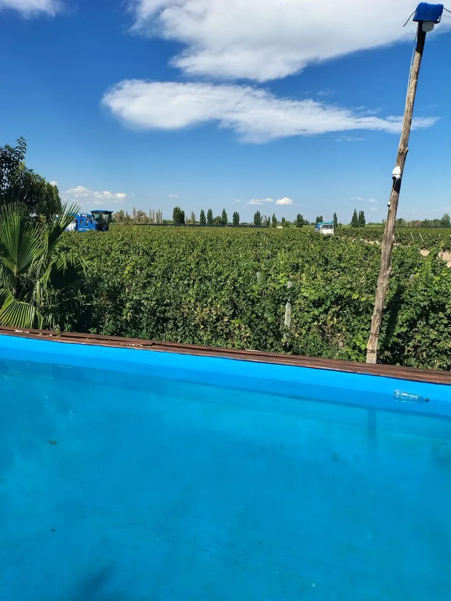 Venta de Finca en producción. foto 2
