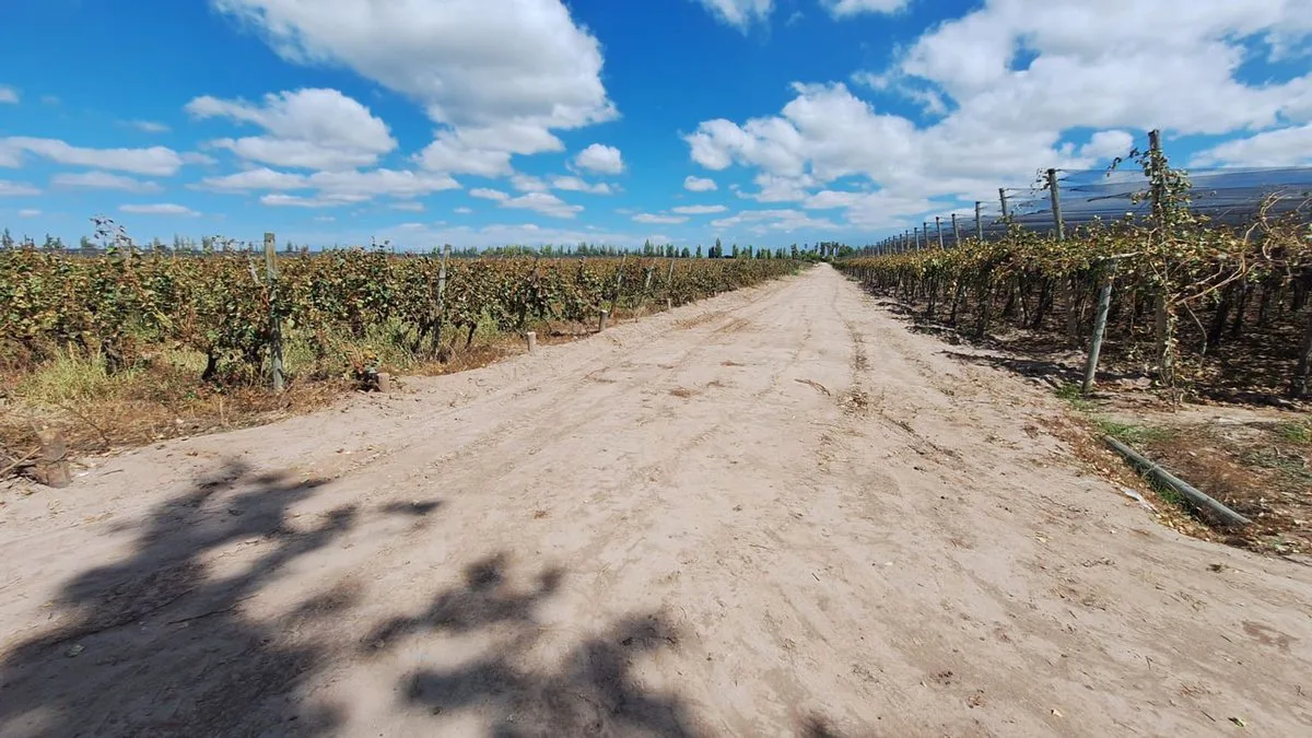 Venta de Finca en producción. foto 3
