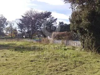 MAR DEL PLATA - Predio de 8800 m2 con loteo armado y varias construcciones disponibles!
Son mas de 11 lotes! Ideal inversor - Para escriturar foto 2