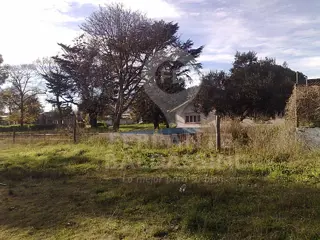 MAR DEL PLATA - Predio de 8800 m2 con loteo armado y varias construcciones disponibles!
Son mas de 11 lotes! Ideal inversor - Para escriturar foto 3