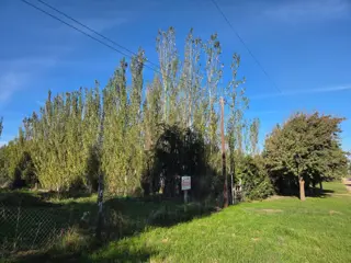 Terreno en venta Brio. Los Muñecos foto 4