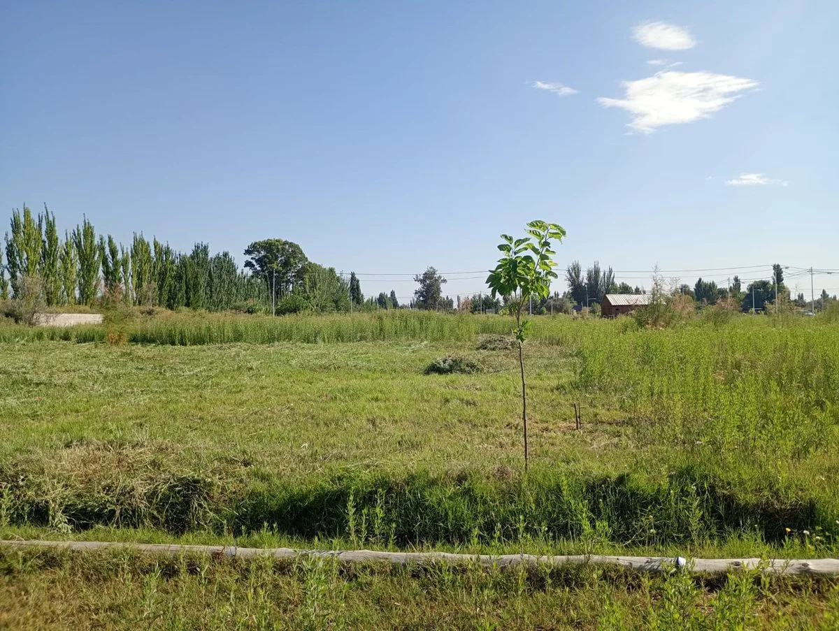 LOTE EN VENTA BARRIO PRIVADO BENEVENTO CORRALITOS foto 2