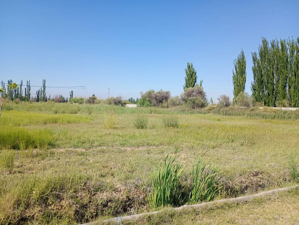 LOTE EN VENTA BARRIO PRIVADO BENEVENTO CORRALITOS foto 3