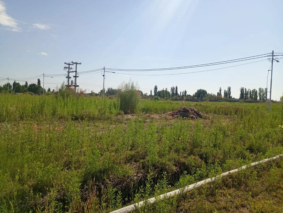 LOTE EN VENTA BARRIO PRIVADO BENEVENTO CORRALITOS foto 4