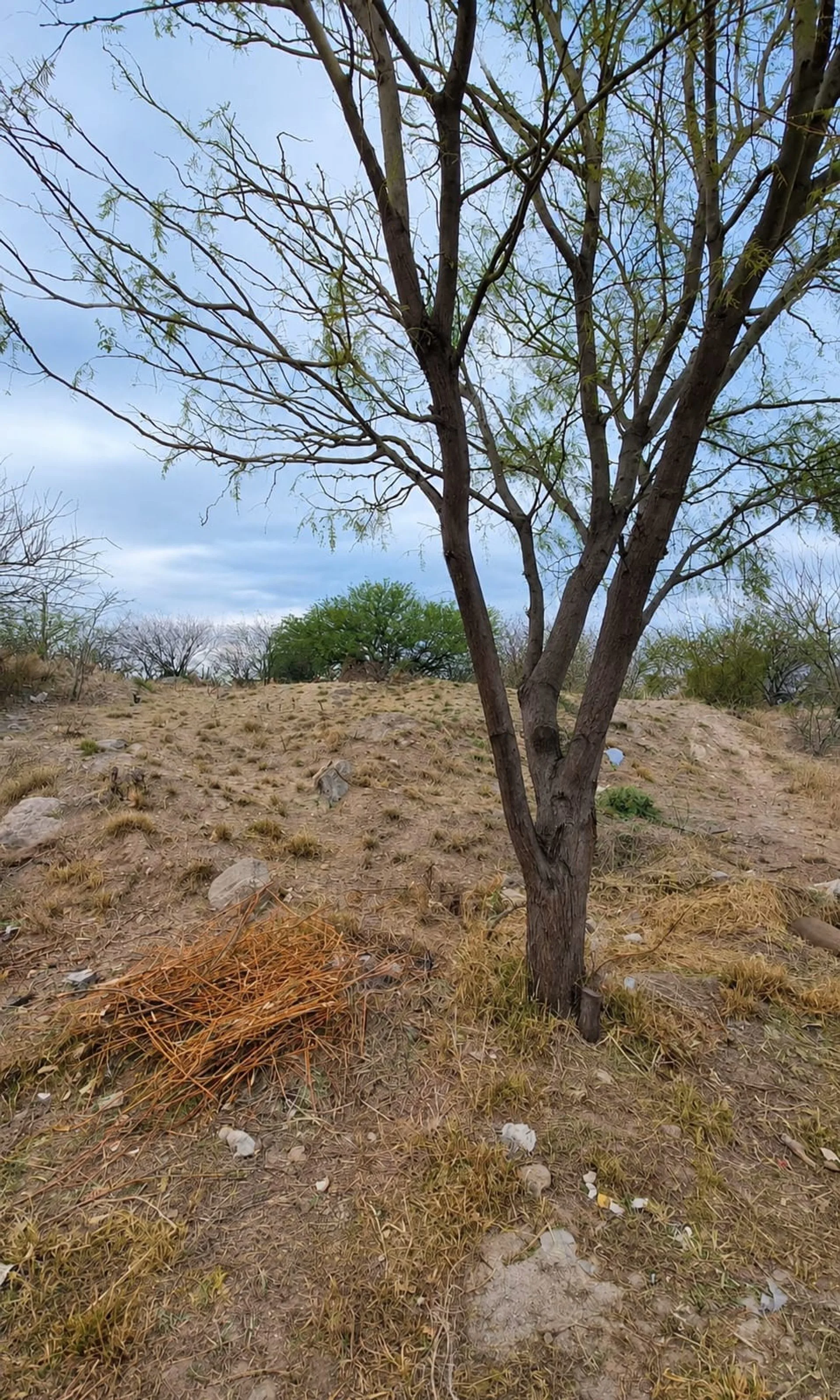 SE VENDE LOTE 318m² ZONA NORTE CAPITAL CATAMARCA foto 5