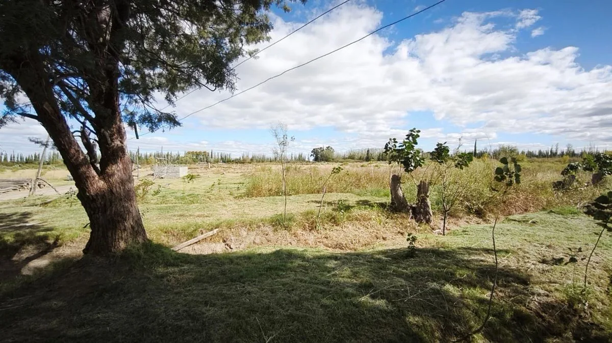 OPORTUNIDAD FINCA EN PRODUCCION SANTA ROSA foto 3